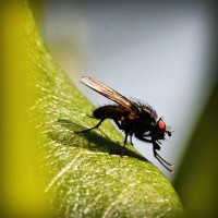 /album/peceni/photolia-a04-jpg/