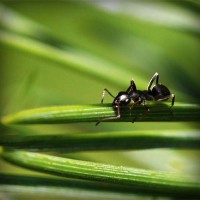 /album/peceni/photolia-a05-jpg/