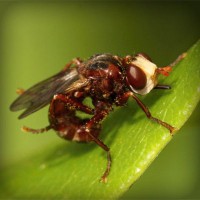 /album/peceni/photolia-a06-jpg/